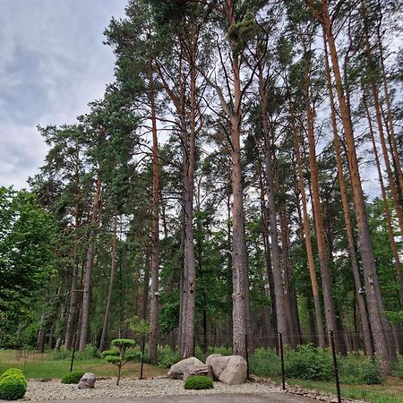Apartamentai Renata Druskininkai Extérieur photo