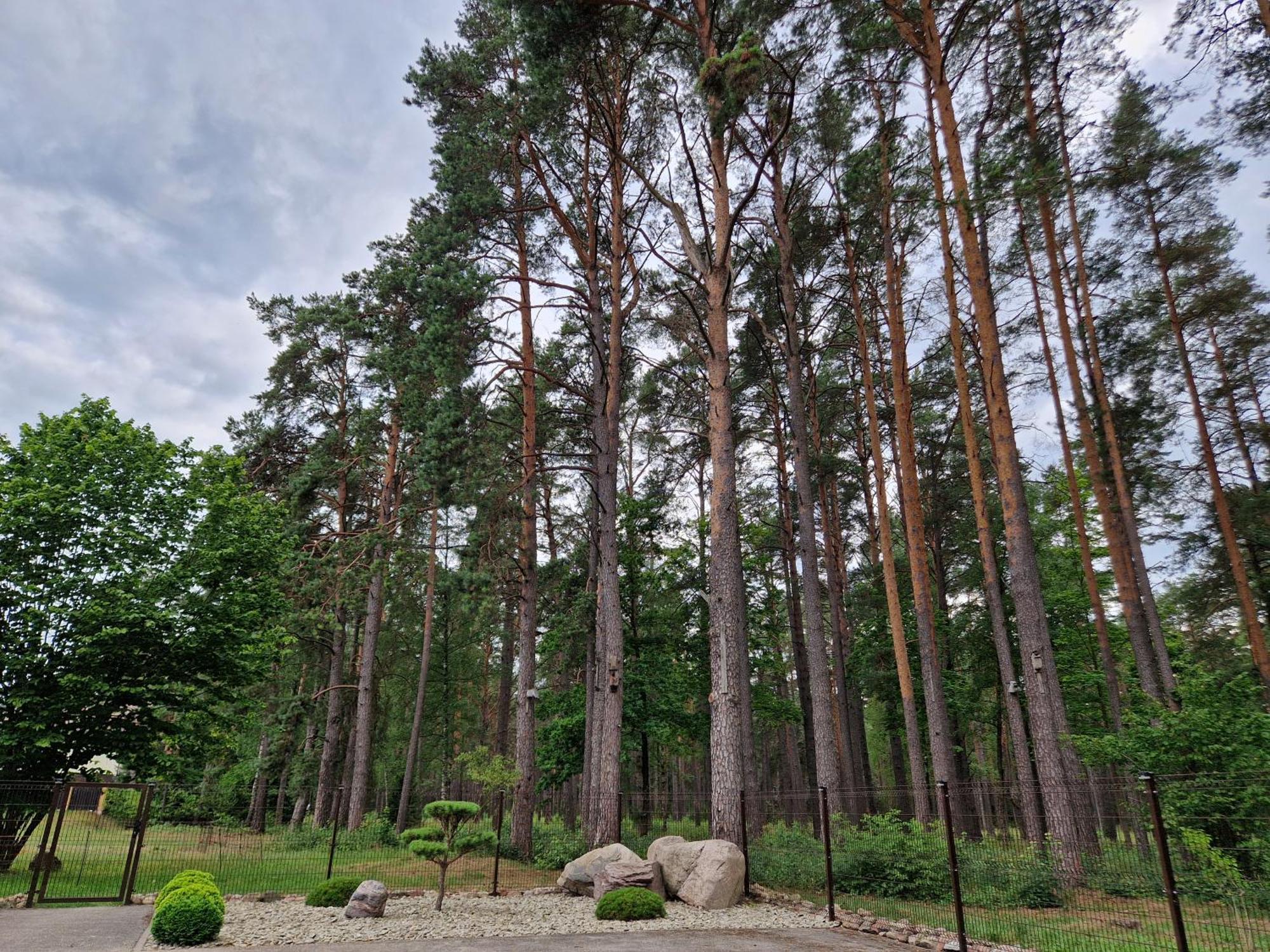 Apartamentai Renata Druskininkai Extérieur photo